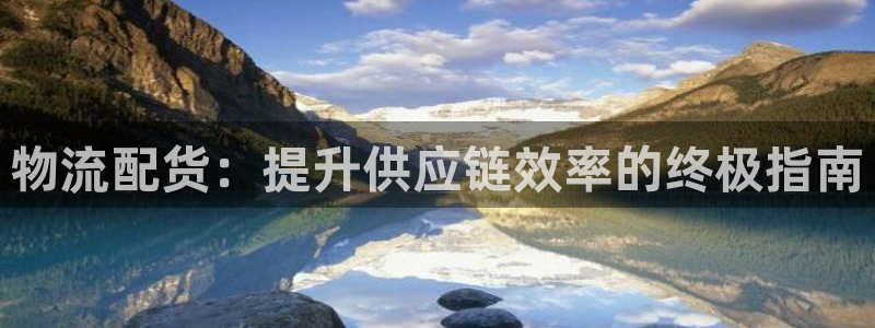 28圈APP是干什么的：物流配货：提升供应链效率的终极指南