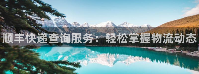 28圈加拿大走势